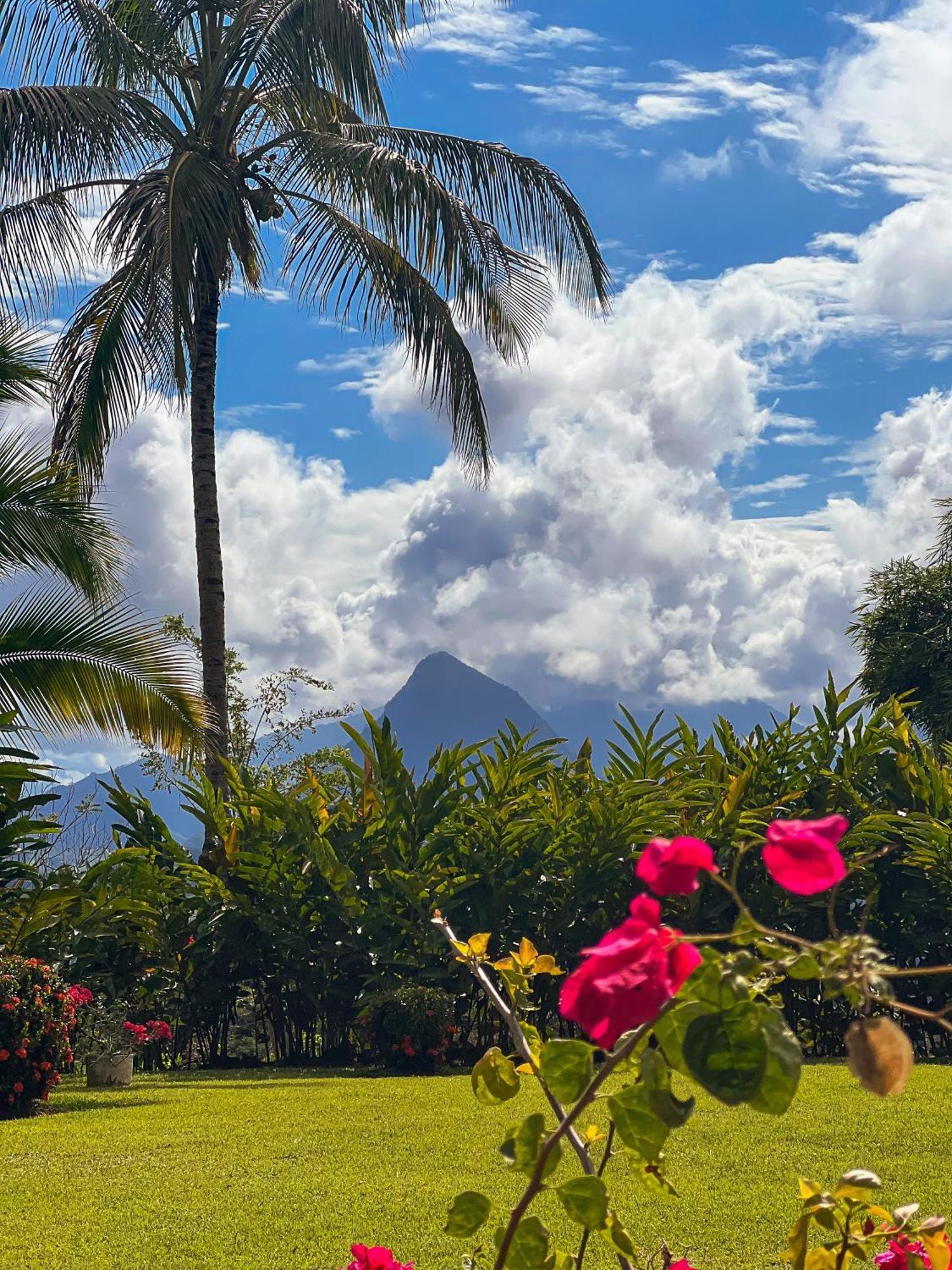 Fina Estampa Country Hotel - Mayores De 10 Anos - Tamesis ภายนอก รูปภาพ
